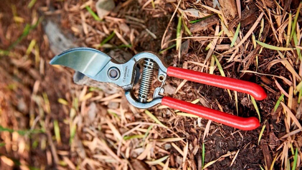Corona Classic Bypass Pruner