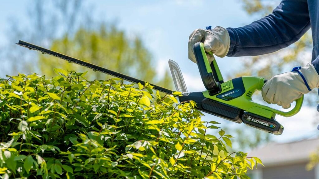 Earthwise Cordless Pole Hedge Trimmer